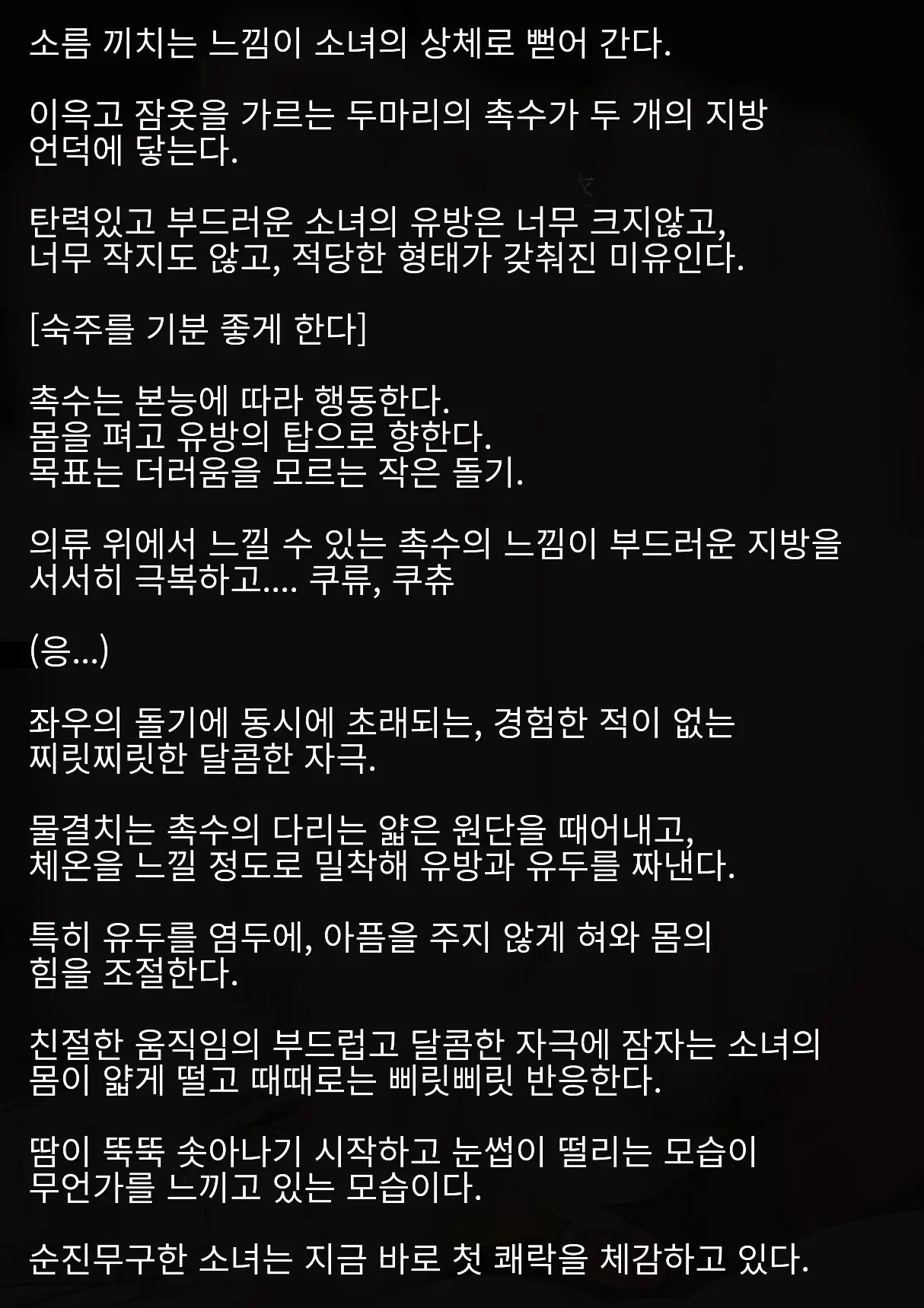 Idol Shoujo - Chijoku Na Ichinichi 1 Negao Haishin Hen | 아이돌 소녀의 치욕의 나날 1 수면 방송편